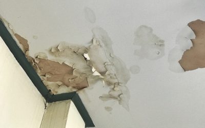 Daños y perjuicios por filtraciones de agua