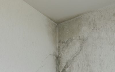 Cómo arreglar filtraciones de agua en la pared