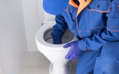 Desatascar WC con alambre