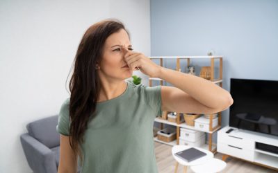 Olor a alcantarilla en casa